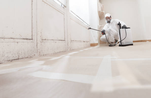 24/7 Emergency Mold Inspection experts in Henderson, NC