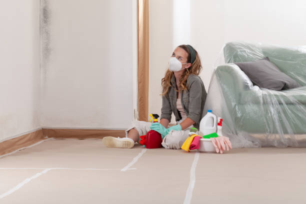 Trusted Mold Inspection service in Henderson, NC - Cheap Mold Removal